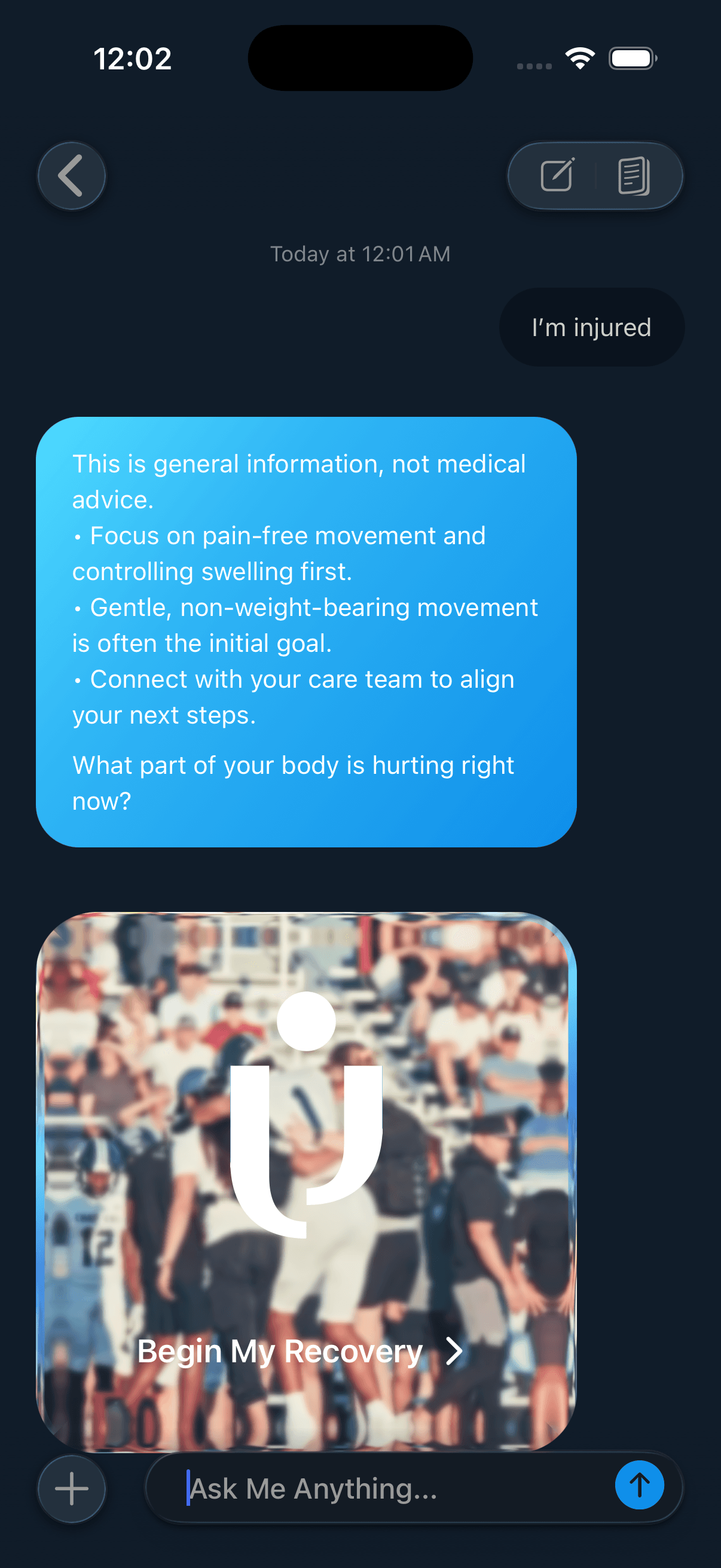 AI assistant interface